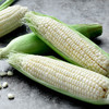 【果蔬精选】冰糖牛奶水果玉米 18°蜜甜牛奶玉米 台湾优选培育的种源 比甘蔗甜1个度 自有基地3000亩 可生吃的牛奶玉米 鲜嫩爆浆 甘甜清爽 商品缩略图1