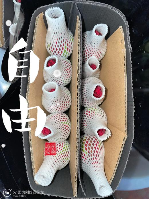 玫瑰·自由 商品图0