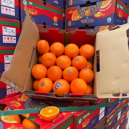 甜弯弯~沃柑 商品图2