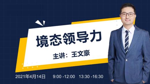 境态领导力 商品图0