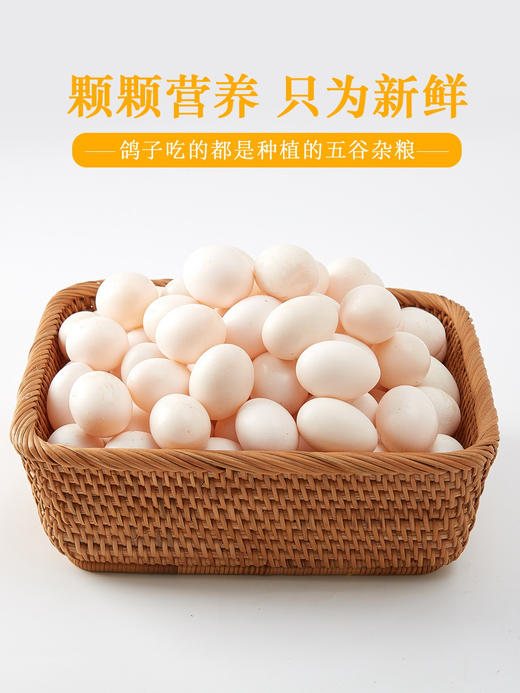 下单隔天到饲养/信鸽鸽子蛋30个装/50个礼盒装40小鸽蛋（只送灵溪）天热收到冰箱冷藏 商品图8