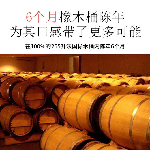 南非-西开普皮诺塔吉14.5%vol红葡萄酒六支装 商品图4