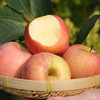 【陕西·洛川】正宗陕西洛川红富士苹果 脆甜冰糖心丑红苹果 新鲜水果 商品缩略图2