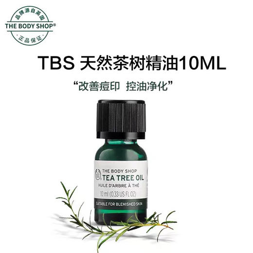 TBS茶树精油10ml 商品图1