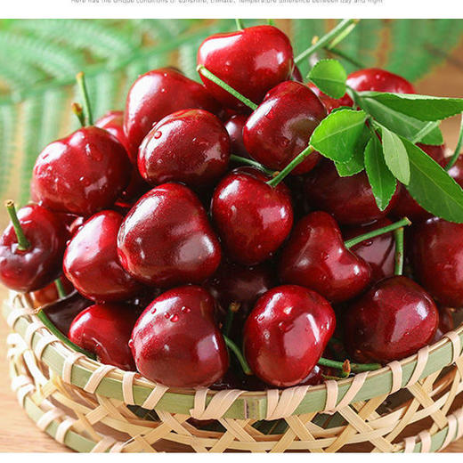大连美早樱桃1盒500g/含包装 商品图9