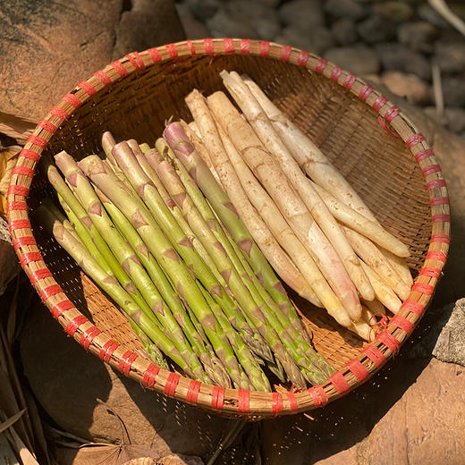 精品白芦笋（清脆解腻）  3斤装 商品图1