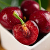 大连美早樱桃1盒500g/含包装 商品缩略图5