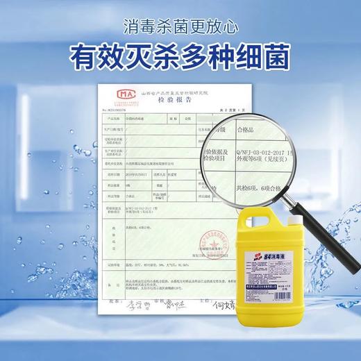 4斤装 奇强84消毒液2kg/瓶 商品图3