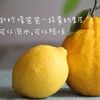 四川蒲江 柠檬不知火  5/8斤装 商品缩略图8