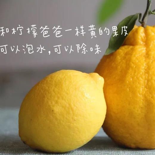 四川蒲江 柠檬不知火  5/8斤装 商品图8