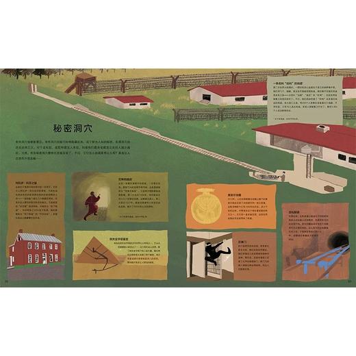 《洞》4-8岁 童年对于植物分类的阅读回忆一下子涌心头，它用百科的方式，把我们几乎熟视无睹的洞以全新的分类，图文并茂地例举了二百多种洞的介绍，使我对于洞洞有了全新的、有序的认识。 商品图4