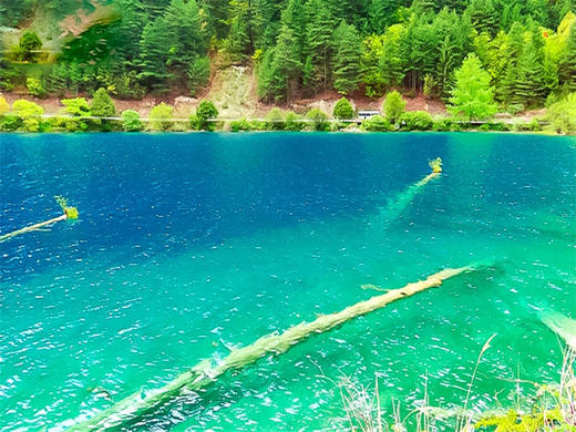 五一5日【甘南九寨火车】九色甘南の九寨沟-黄龙-寻找美丽的香巴拉 商品图5