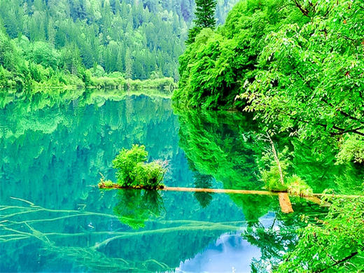 五一5日【甘南九寨火车】九色甘南の九寨沟-黄龙-寻找美丽的香巴拉 商品图4