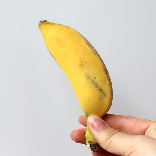 【老实芭蕉】原生态种植，无农药化肥除草剂，香甜糯 | 产地直发 商品图1