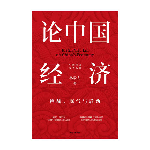 论中国经济 林毅夫 著 【包邮】挑战底气与后劲 解读中国经济 新发展格局 十四五双循环 金融 未来趋势 商品图2