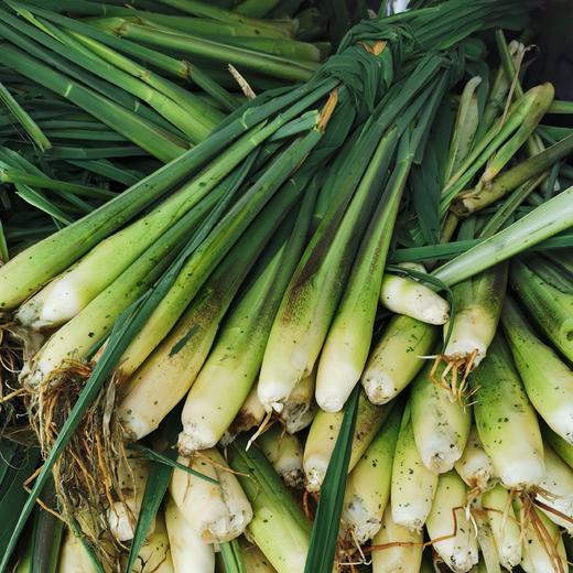 丨生态丨新鲜莲藕 茭白 茨菇 荸荠（马蹄）零添加糖藕 可以单买，可以混搭  水八仙基地 商品图7