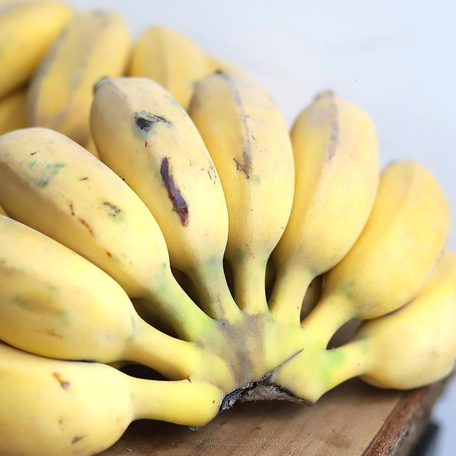 老实芭蕉5斤装 云南元江深山种植,生态管理,粉糯酸甜,捂熟发货,收到