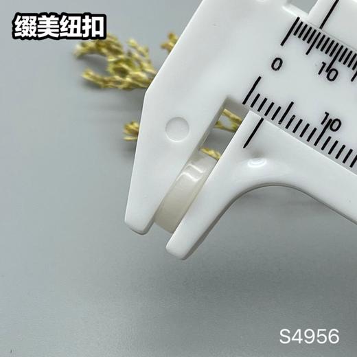 S4956(整包购买) 商品图7