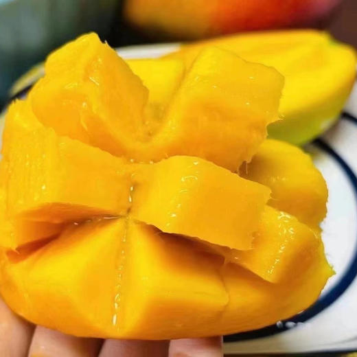 三亚自然熟山野贵妃芒🥭 商品图0