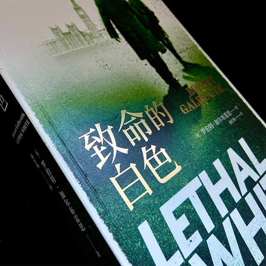 J.K.罗琳的侦探小说：致命的白色（斯特莱克推理系列第四部） 商品图4