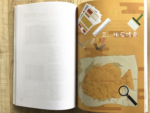 小学科学STEAM项目精编书本 商品图4