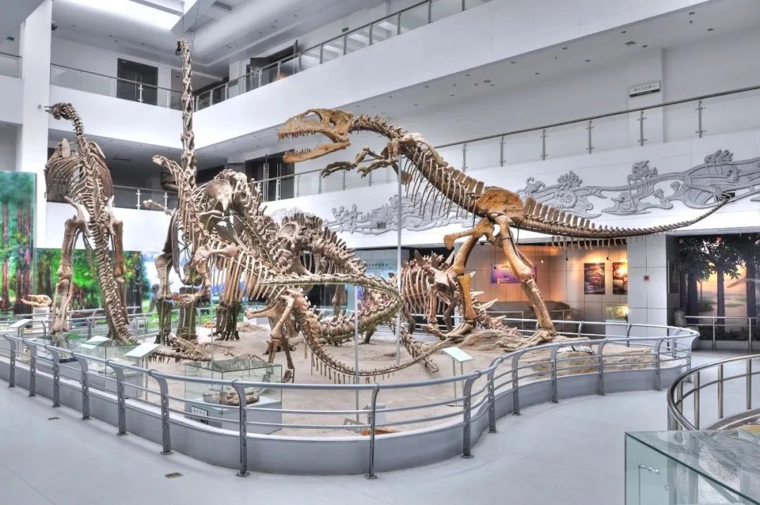 【武汉】1元补差价专用链接