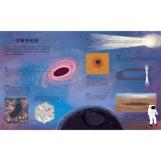 《洞》4-8岁 童年对于植物分类的阅读回忆一下子涌心头，它用百科的方式，把我们几乎熟视无睹的洞以全新的分类，图文并茂地例举了二百多种洞的介绍，使我对于洞洞有了全新的、有序的认识。 商品图2