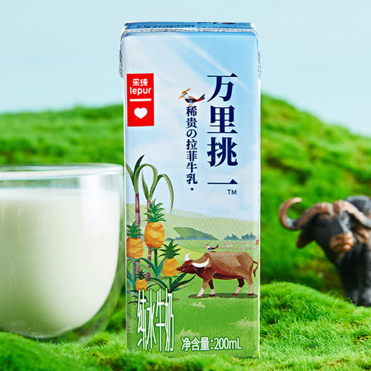 『 4.0蛋白纯牛奶』乐纯万里挑一纯水牛奶 高钙纯牛奶 200ml*10盒/箱  拉菲牛乳 每盒8.0g蛋白质240mg钙 常温纯牛奶 商品图8