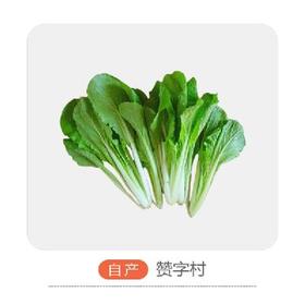 赞字村小白菜