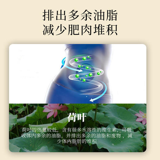 【买2送1买3送2买5送4】安莱斯大肚子茶告别大肚子蜕变女神纯植物配方安心食用多种体质男女通用 商品图2