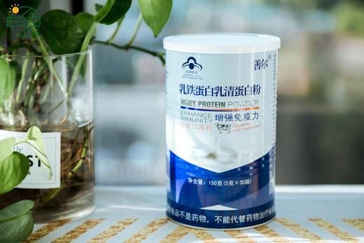 26年10月到期善尔乳铁蛋白乳清蛋白粉 免疫力美国进口原料 30袋/ 商品图5