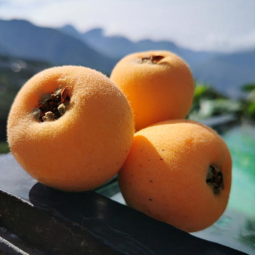 攀枝花【五星枇杷】果大肉厚，香甜汁多，肉质鲜嫩，现摘现发！【顺丰包邮】 商品图3