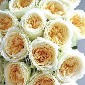 国产玫瑰-奶油杯-20枝