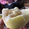 超级香甜的蜜罐甜瓜，浓浓的果香让你一次吃上瘾，果汁丰盈，甜度高~ 商品缩略图2
