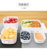 日本YAMADA冰箱保鲜盒套装微波饭盒便当盒水果储物盒密封食品饭盒 商品缩略图7