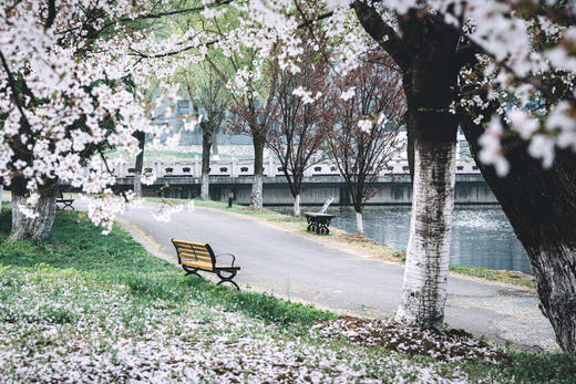 明信片 商品图1