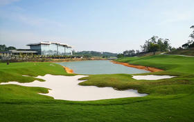 广东江门+顺德：鹤山/五邑蒲葵/均安