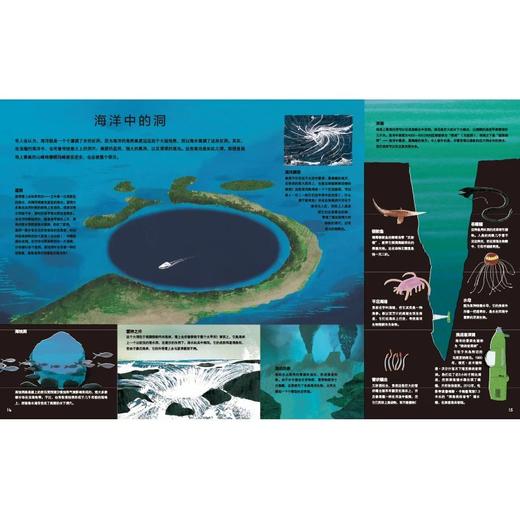 《洞》4-8岁 童年对于植物分类的阅读回忆一下子涌心头，它用百科的方式，把我们几乎熟视无睹的洞以全新的分类，图文并茂地例举了二百多种洞的介绍，使我对于洞洞有了全新的、有序的认识。 商品图1