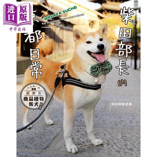 【中商原版】柴田部长的京都日常 日本第一的超美形商品模特柴犬 自称 港台原版 和诗俱乐部 尖端出版社 商品图1