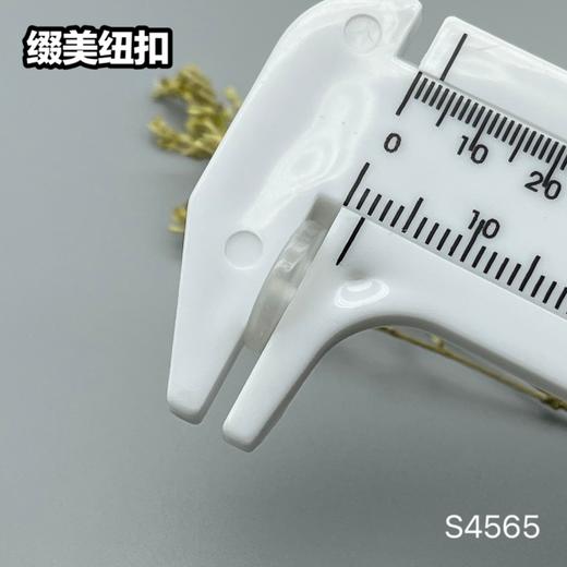 S4565(整包购买) 商品图5