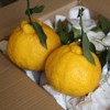 四川蒲江 柠檬不知火  5/8斤装 商品缩略图9
