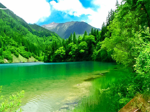 五一5日【甘南九寨火车】九色甘南の九寨沟-黄龙-寻找美丽的香巴拉 商品图6