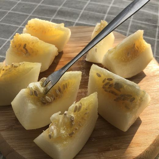 小蜜蜂树上熟黄金小甜瓜 4.5斤（约5-9个） 商品图8