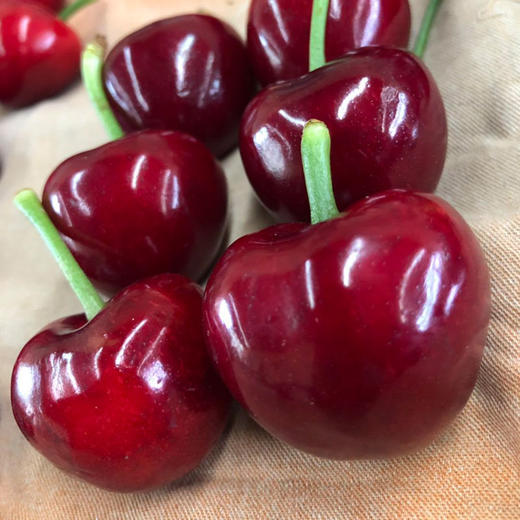 大连美早樱桃1盒500g/含包装 商品图7