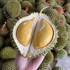 泰国进口托曼尼榴莲  全A果 俗称小猫山王（核稍大介意慎拍！） 浓郁香甜   新鲜榴莲带壳应季水果 商品缩略图1