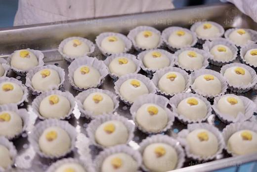 香菇肉包

4月7日开始发货 商品图3