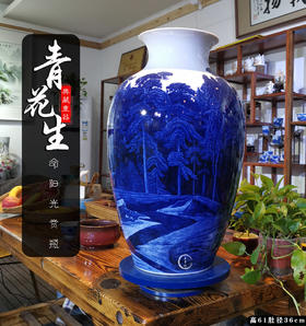 曹细毛:釉下青花＜生命阳光＞