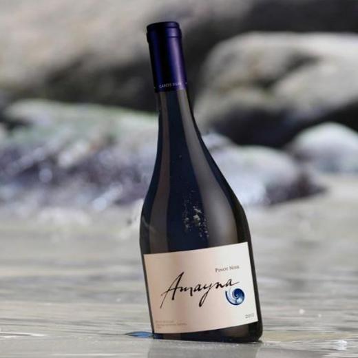 蓝色幻想黑皮诺干红葡萄酒2019年 商品图2