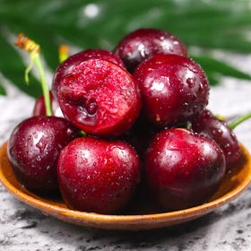 大连美早樱桃1盒500g/含包装