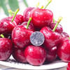 大连美早樱桃1盒500g/含包装 商品缩略图11